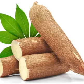 Cassava tuber