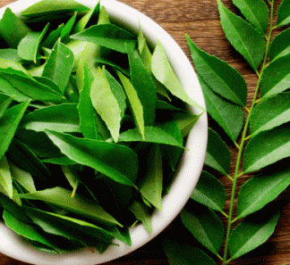 Curry leaf