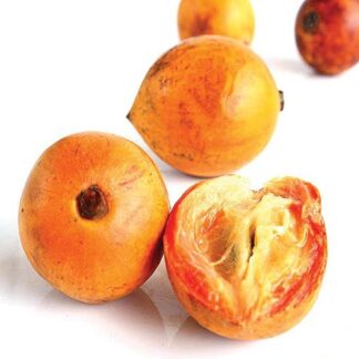 African star apple