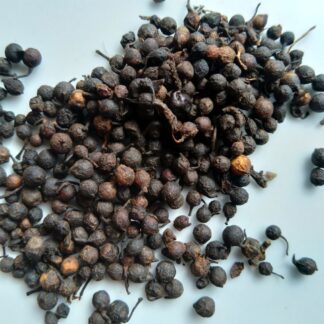 Uziza seeds